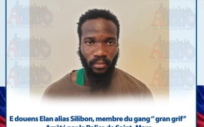 Ayiti : Yon kouzen chèf gang Savien, Luckson Elan, arete pou trafik minisyon ak lyen ak gang « gran grif »