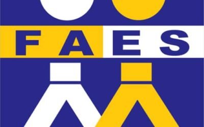 Haiti : 94 347 bénéficiaires subventionnés par le FAES via Natcom et Digicel