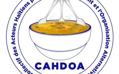 Élections en Haïti : le CAHDOA hausse le ton et met les acteurs de la transition face à leurs responsabilités